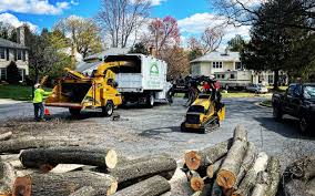 Mickleton, NJ Tree Services Company